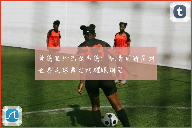 费德里科巴尔韦德：从青训新星到世界足球舞台的耀眼明星