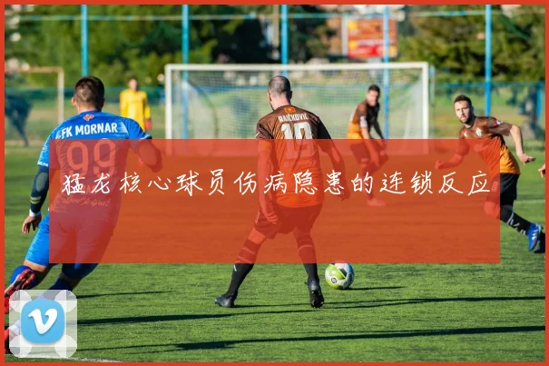 猛龙核心球员伤病隐患的连锁反应